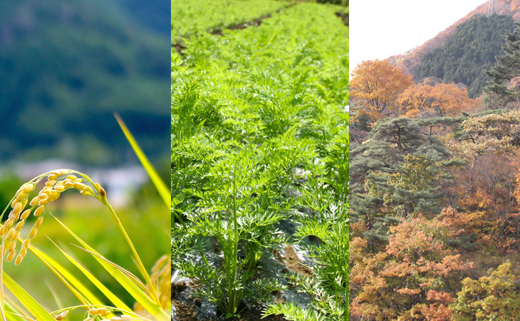 田・畑・山林などでお悩みの地主様へ